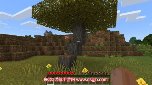 我的世界十大禁地种子是什么-手机版十大禁地种子汇总