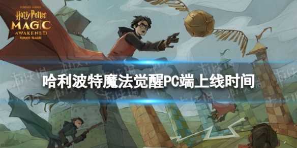 《哈利波特魔法觉醒》PC端什么时候上线-哈利波特魔法觉醒pc端为什么下架