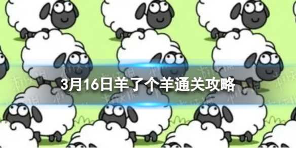 3月16日《羊了个羊》通关攻略-5.16号羊了个羊通关攻略