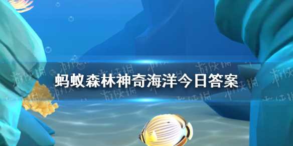 被称为“海瓜子”的海洋动物是