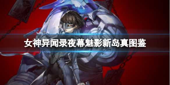 《女神异闻录夜幕魅影》新岛真图鉴-女神异闻录夜幕魅影地图解锁
