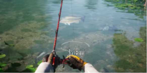 欢乐钓鱼大师真彩虹钓鱼攻略