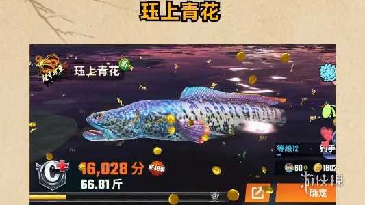 欢乐钓鱼大师洪湖的五种稀有鱼获取攻略