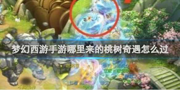 梦幻西游手游哪里来的桃树奇遇攻略