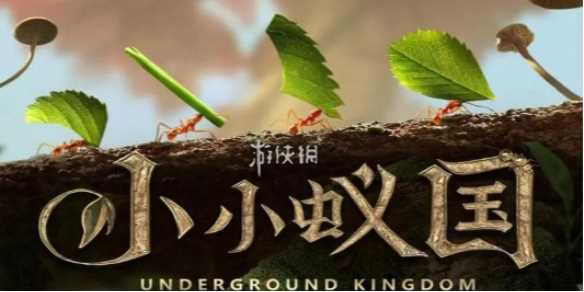 小小蚁国蚁后升级仓库前置条件介绍