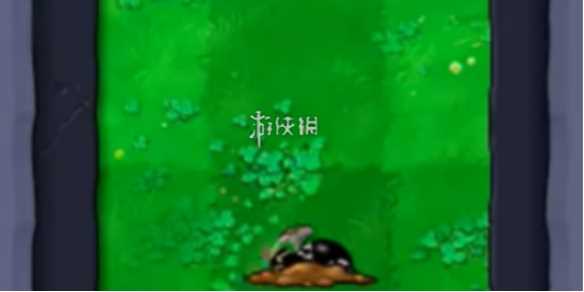 植物大战僵尸杂交版黑橄榄矿工僵尸属性介绍-黑橄榄矿工僵尸偷家