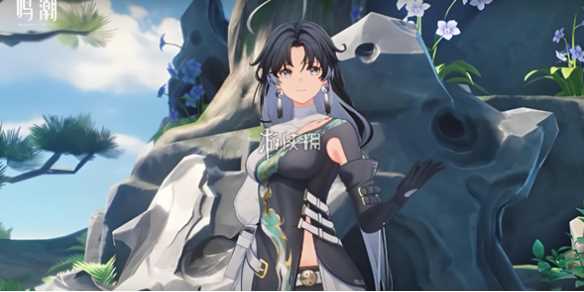 鸣潮1.1卡池抽取建议-鸣潮up池保底会继承到下一期吗