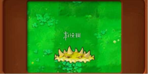 植物大战僵尸杂交版黄油地刺属性介绍