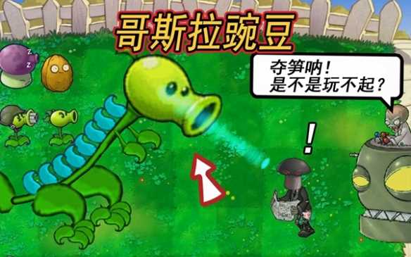 植物大战僵尸嫁接版作者介绍