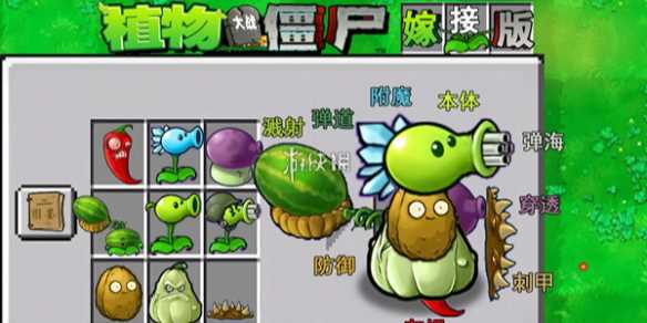 植物大战僵尸嫁接版作者介绍