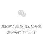 《崩坏星穹铁道》折纸小鸟对对碰隐藏成就一览