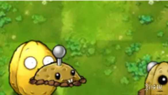 植物大战僵尸融合版玩法介绍