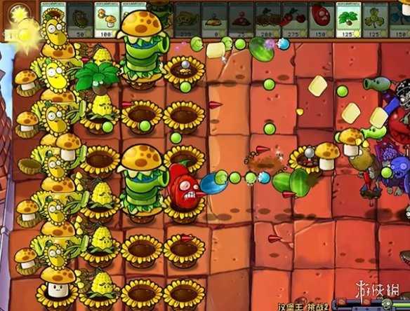 植物大战僵尸杂交版汉堡王2通关攻略