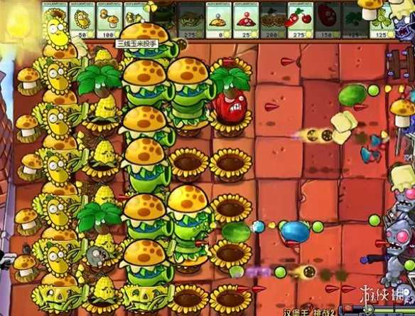 植物大战僵尸杂交版汉堡王2通关攻略