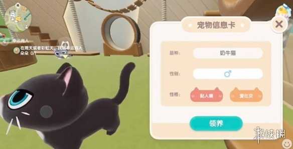 心动小镇养猫攻略