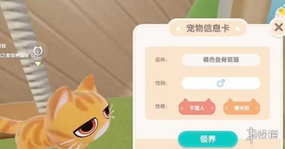 心动小镇养猫攻略