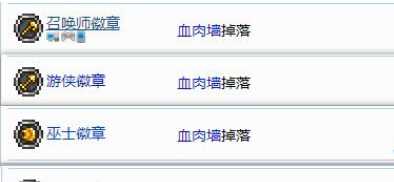 泰拉瑞亚打新三王饰品选择推荐