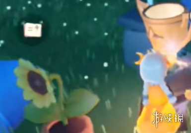 光遇运动会奖励兑换位置2024